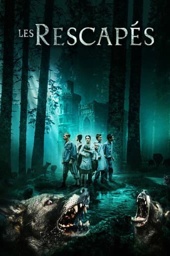 Affiche de Les Rescapés