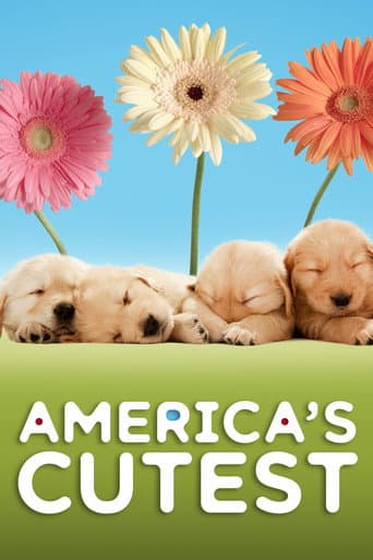 Affiche de America's Cutest