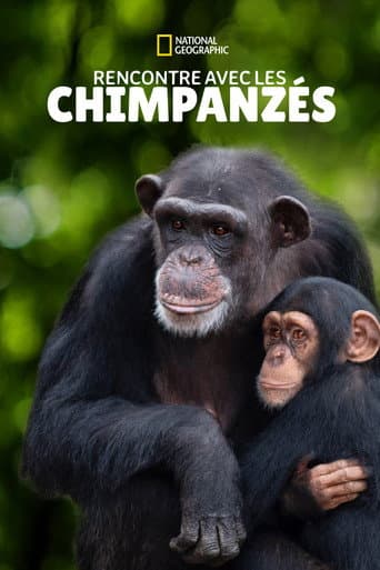 Affiche de Rencontre avec les Chimpanzés