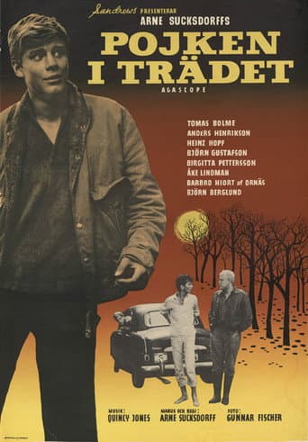 Affiche de Le garçon dans l'arbre