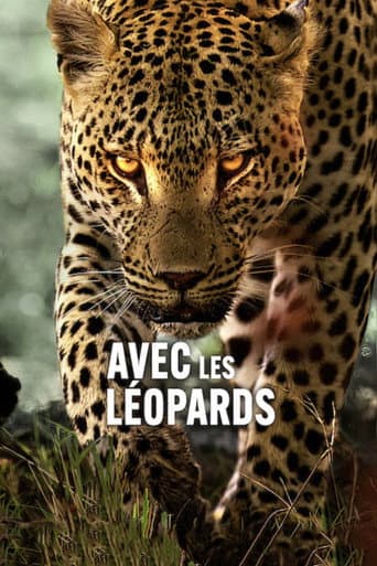 Affiche de Avec les léopards