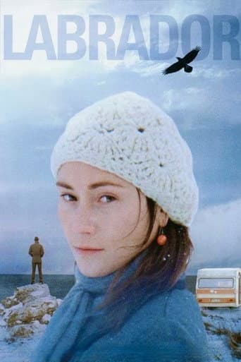 Affiche de Labrador
