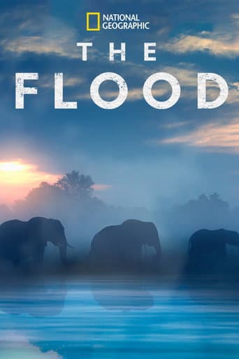 Affiche de Survie au fil de l’eau