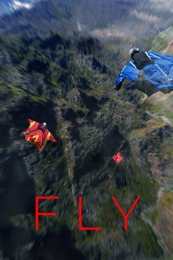 Affiche de Fly