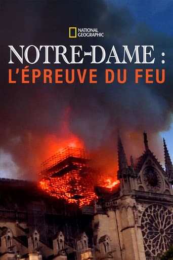 Affiche de Notre-Dame : l'épreuve du feu