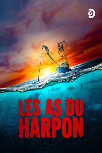 Affiche de Les As du harpon