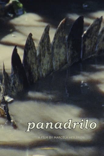 Affiche de Panadrilo