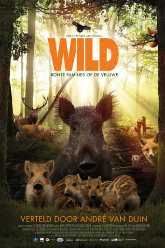 Affiche de Wild