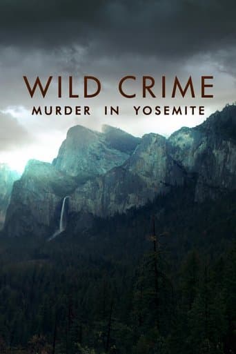 Affiche de Wild Crime
