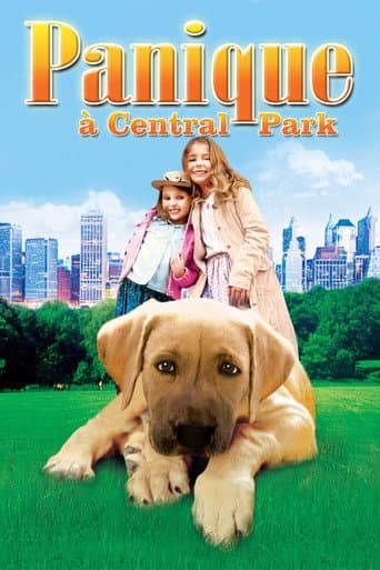 Affiche de Panique à Central Park