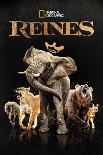 Affiche de Reines