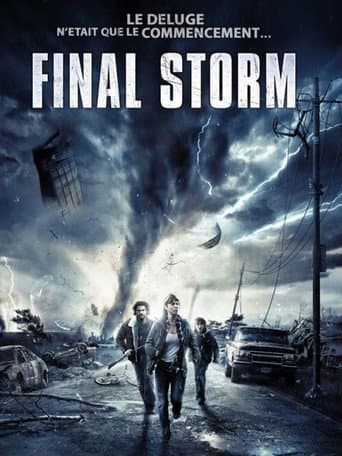 Affiche de Final Storm