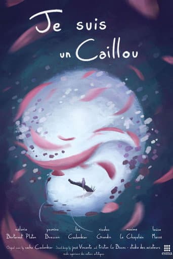 Affiche de Je suis un Caillou
