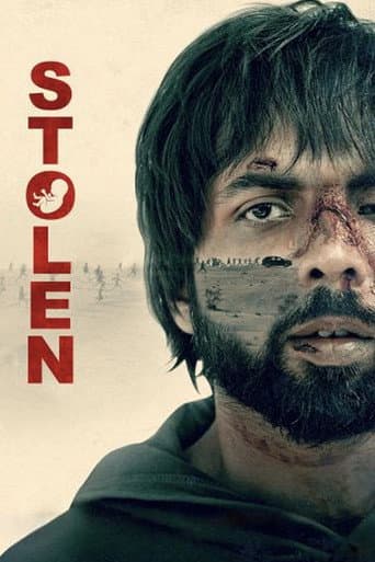 Affiche de The Stolen