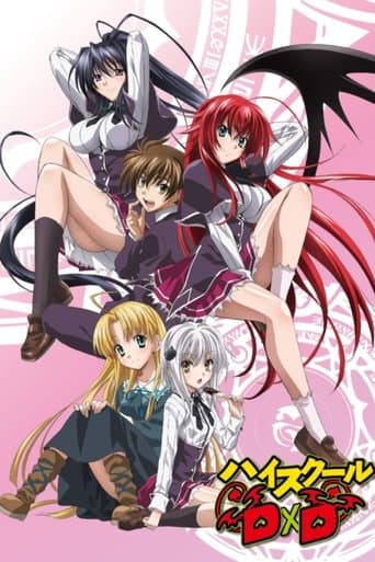 Affiche de High School DxD