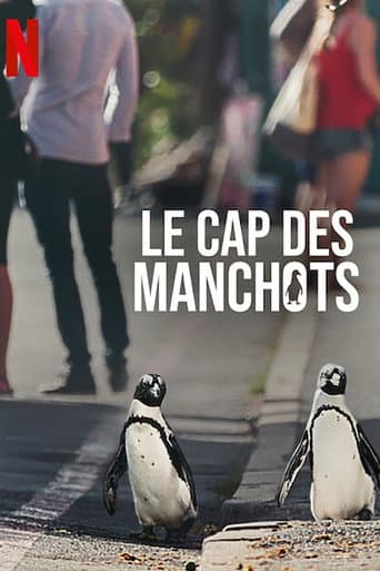 Affiche de Le Cap des manchots