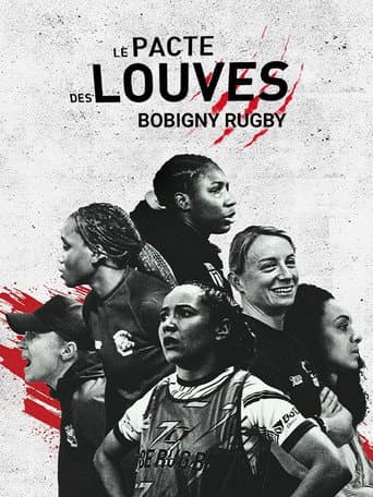 Affiche de Le pacte des Louves