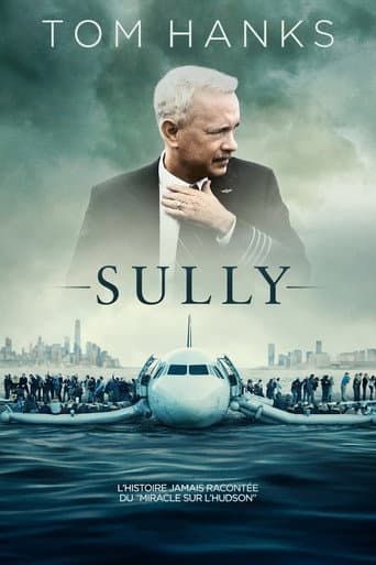 Affiche de Sully