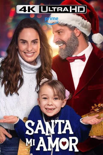 Affiche de Beau-père Noël