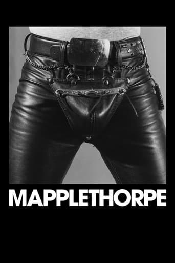 Affiche de Mapplethorpe