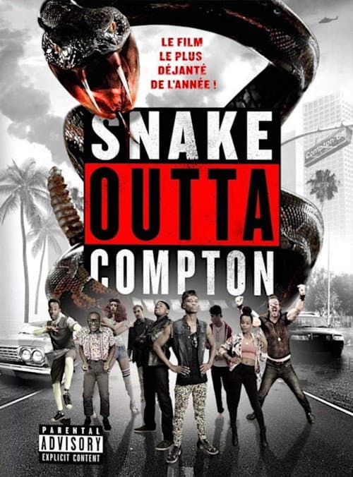 Affiche de Snake Outta Compton