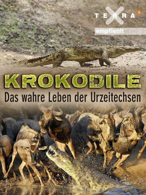 Affiche de La Vie privée des crocodiles
