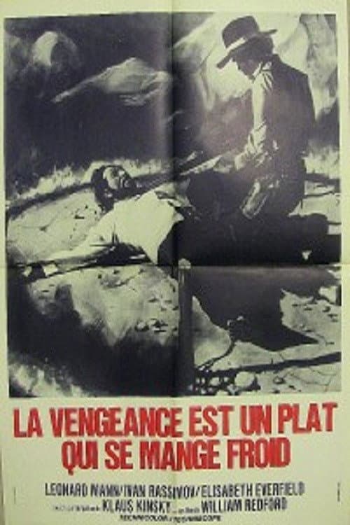 Affiche de La vengeance est un plat qui se mange froid