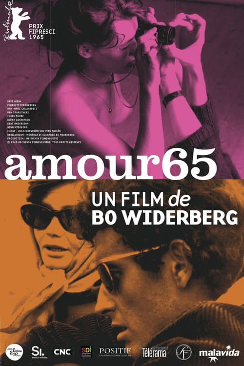 Affiche de Amour 65