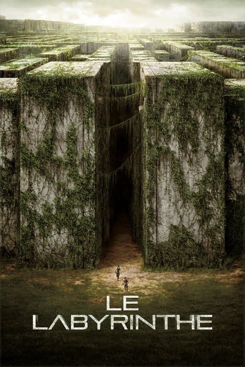 Affiche de Le Labyrinthe