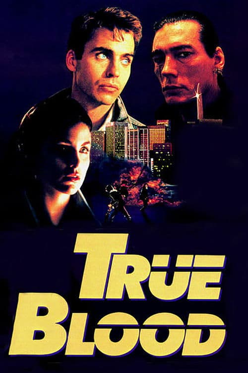 Affiche de Deux frères en cavale