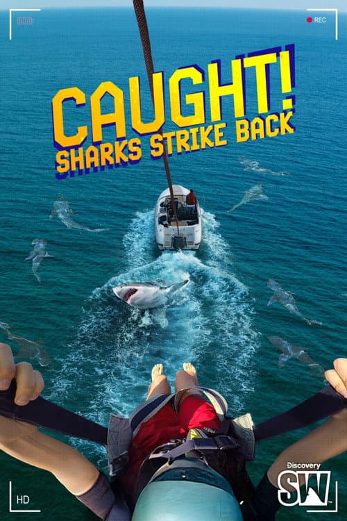 Affiche de Sur le vif ! Quand les requins contre-attaquent