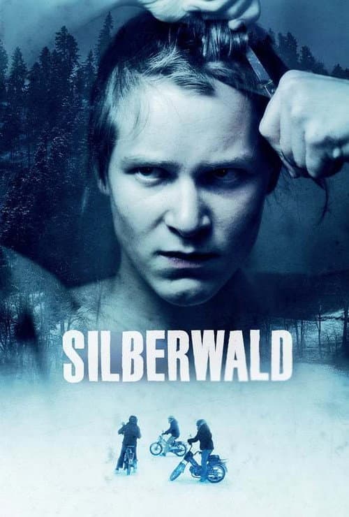 Affiche de Silberwald