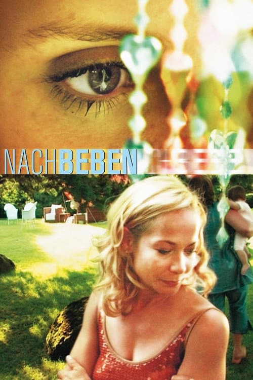 Affiche de Nachbeben