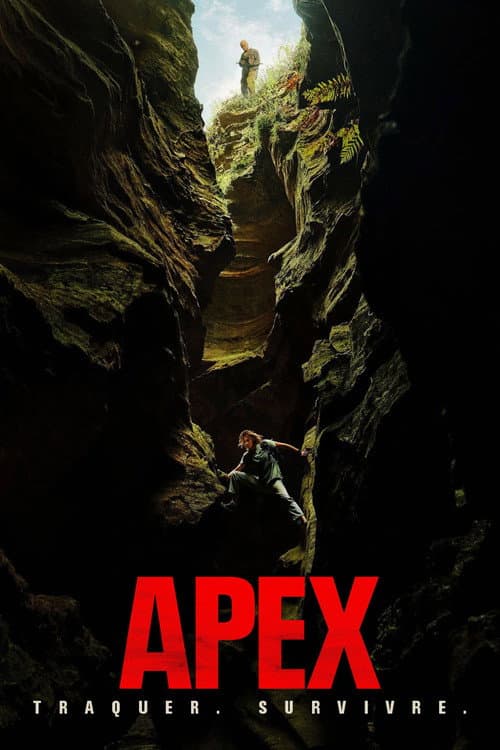 Affiche de Apex