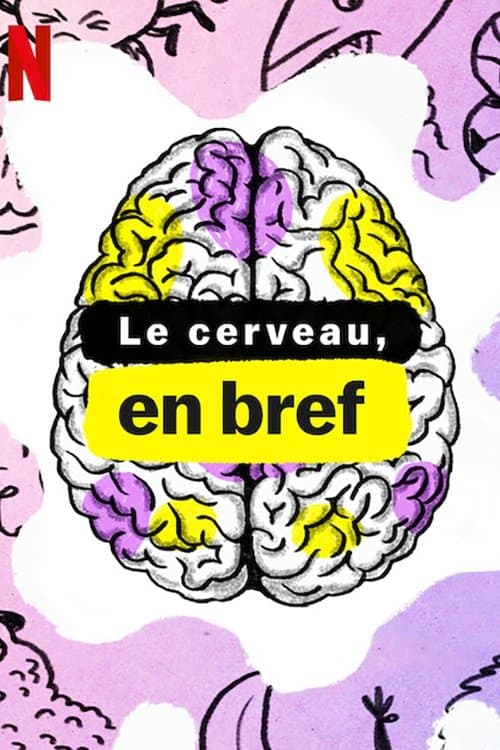 Affiche de Le Cerveau, en bref