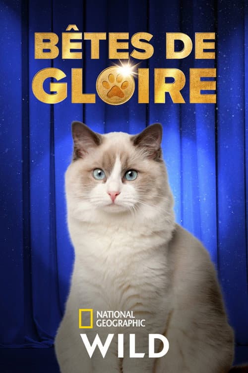 Affiche de Bêtes de gloire
