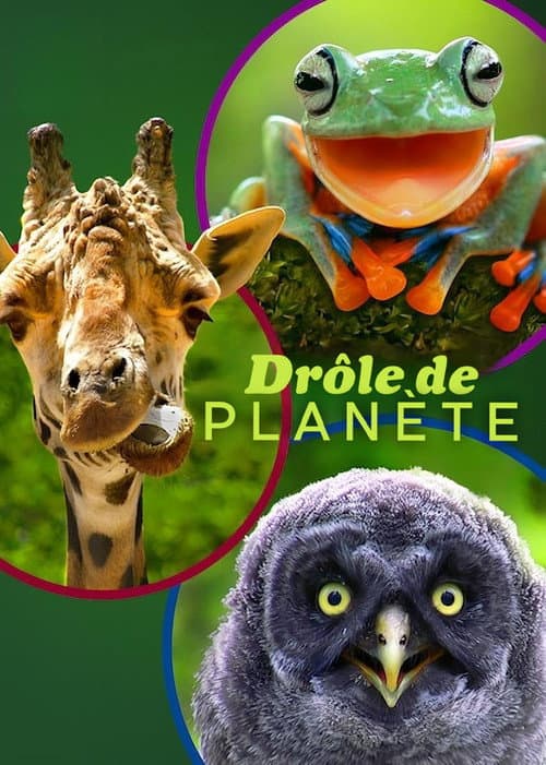 Affiche de Drôle de planète