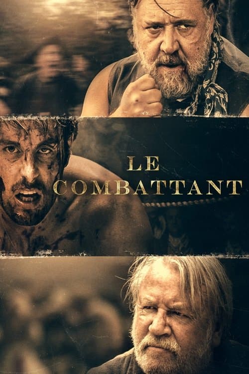 Affiche de Le Combattant