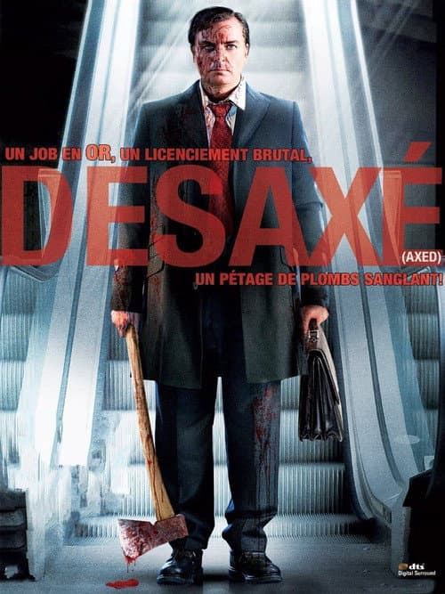 Affiche de Désaxé