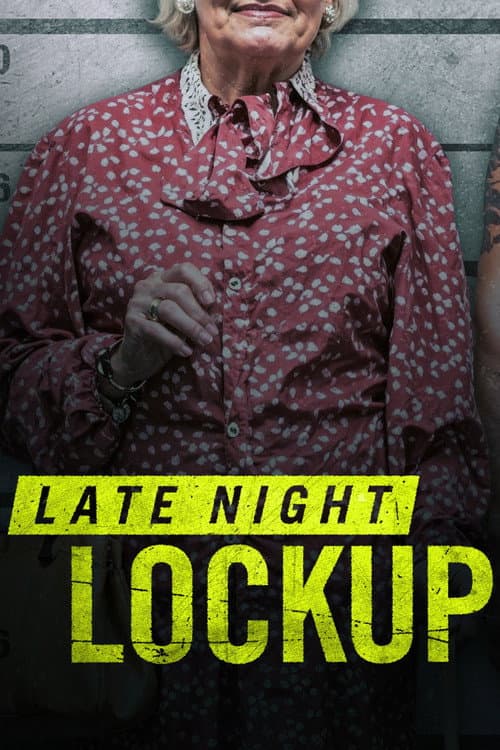 Affiche de Arrestations nocturnes