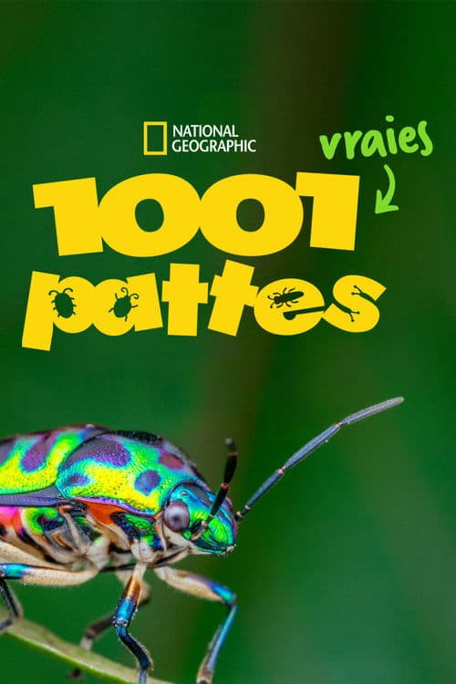 Affiche de 1001 vraies pattes