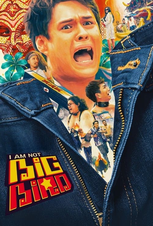 Affiche de I Am Not Big Bird