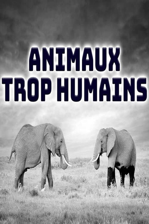 Affiche de Animaux trop humains