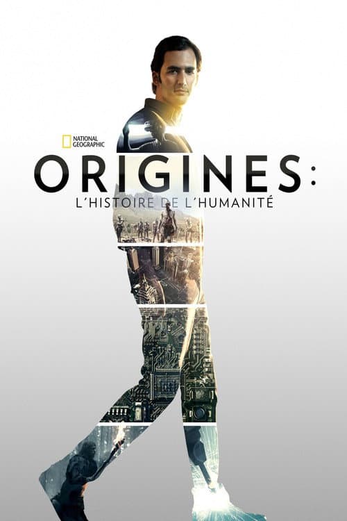 Affiche de Origines : L'histoire de l'humanité
