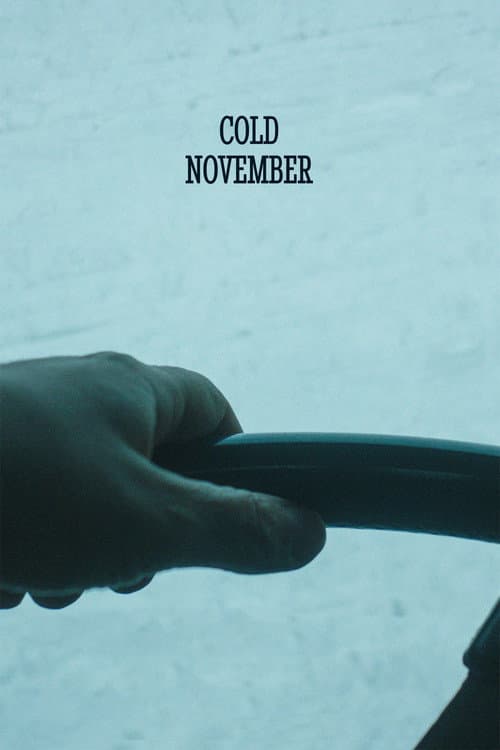 Affiche de Cold November