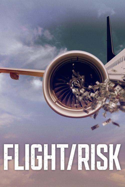 Affiche de Vols à haut risque