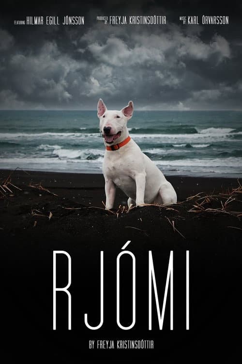 Affiche de Rjómi