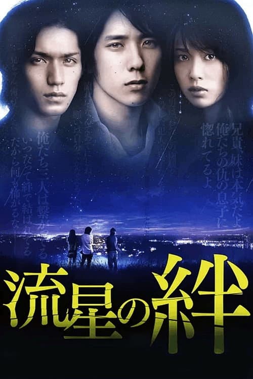 Affiche de Ryusei no Kizuna