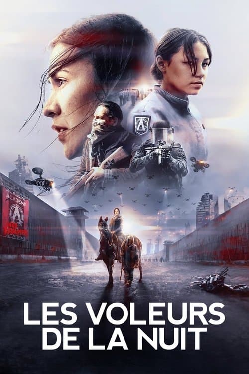 Affiche de Les Voleurs de la nuit