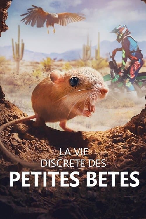 Affiche de La vie discrète des petites bêtes